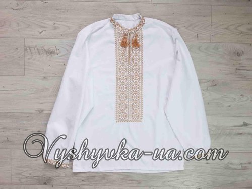 Men's embroidered shirt "Zoryan"