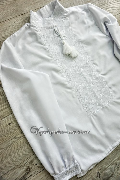 Men's embroidered shirt "Dobrinia"