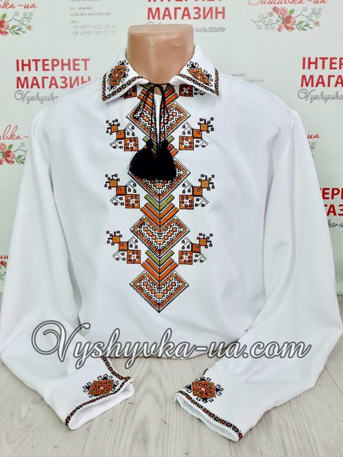 Men's embroidered shirt "Bereginya"