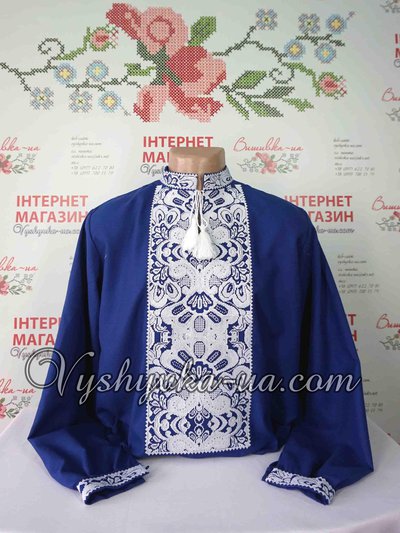 Men's embroidered shirt "Hoarfrost"