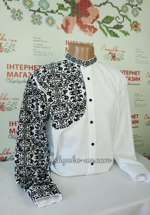 Men`s embroidered shirts